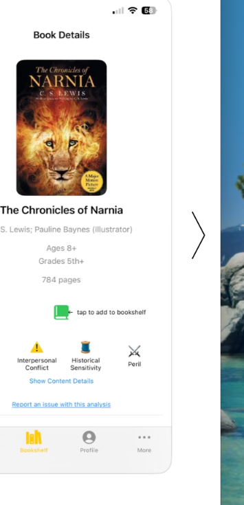 Next Page content information example